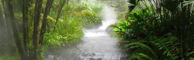jungle_river_falls_vegetation_flowers_fern_stream_48404_3840x1200